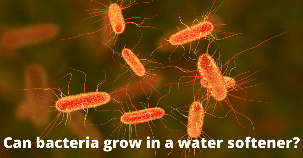 Does bacteria grow in a water softener